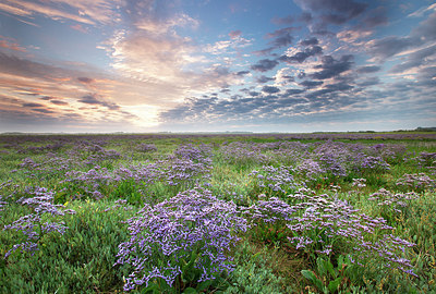 BUITEN BEELD Foto: 233711