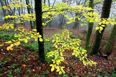 BUITEN BEELD Foto: 233717