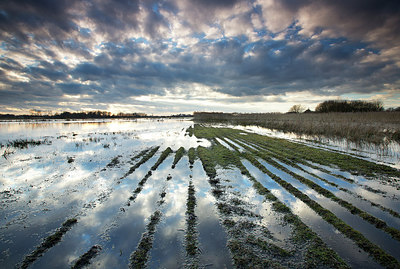 BUITEN BEELD Foto: 233727