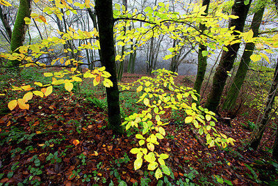 BUITEN BEELD Foto: 233733