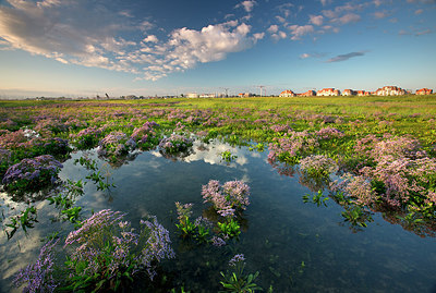 BUITEN BEELD Foto: 233738