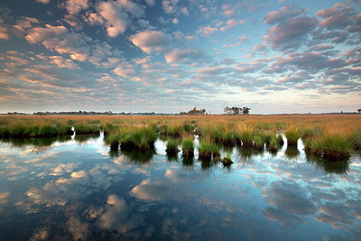 BUITEN BEELD Foto: 233748