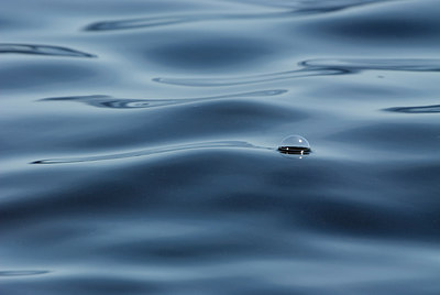 BUITEN BEELD Foto: 233794