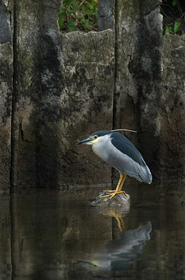 BUITEN BEELD Foto: 233972
