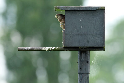 BUITEN BEELD Foto: 234023