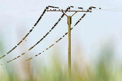 BUITEN BEELD Foto: 234024