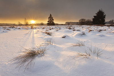 BUITEN BEELD Foto: 234071