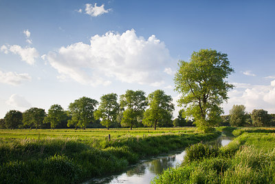 BUITEN BEELD Foto: 234077