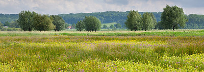 BUITEN BEELD Foto: 234123