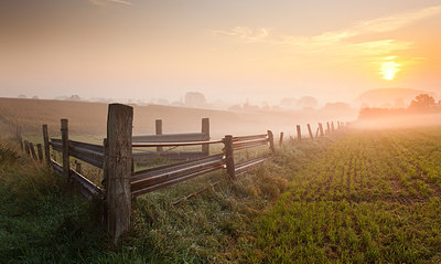 BUITEN BEELD Foto: 234124