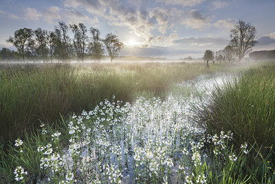 BUITEN BEELD Foto: 234147