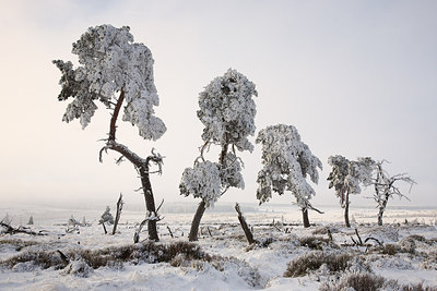 BUITEN BEELD Foto: 234165