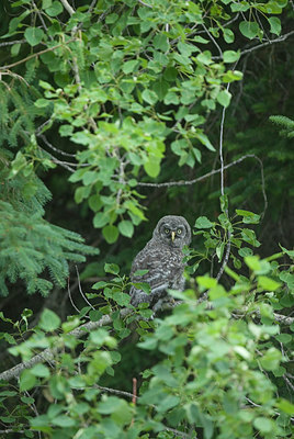 BUITEN BEELD Foto: 234251