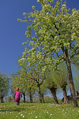 BUITEN BEELD Foto: 234345