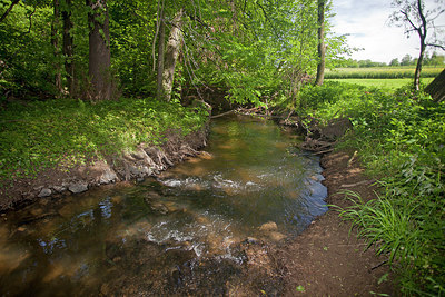 BUITEN BEELD Foto: 234357