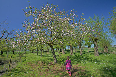 BUITEN BEELD Foto: 234359