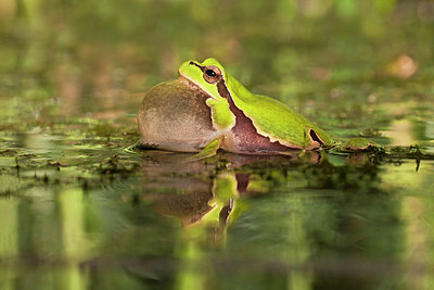 BUITEN BEELD Foto: 234404