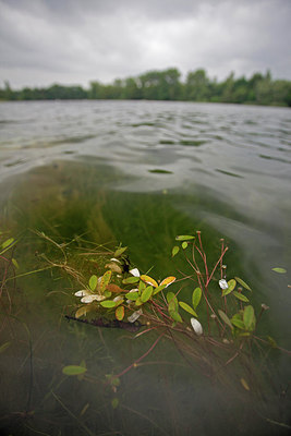 BUITEN BEELD Foto: 234418