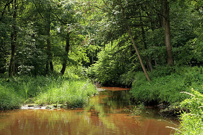 BUITEN BEELD Foto: 234566