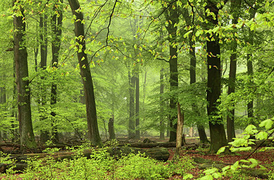 BUITEN BEELD Foto: 234574