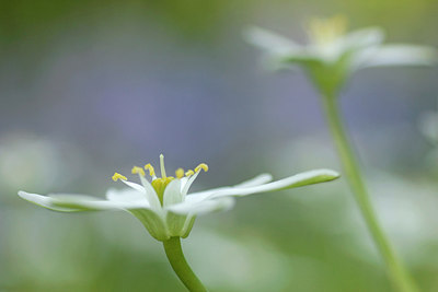 BUITEN BEELD Foto: 234578
