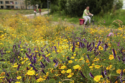 BUITEN BEELD Foto: 234584