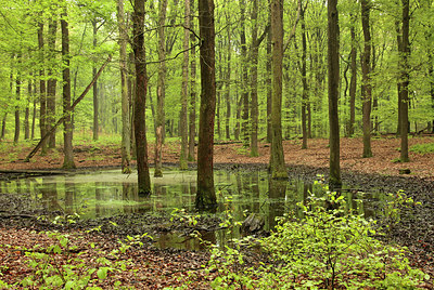 BUITEN BEELD Foto: 234588