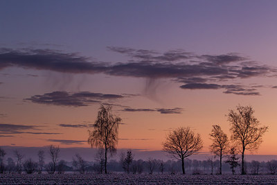 BUITEN BEELD Foto: 234595