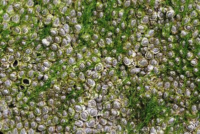 BUITEN BEELD Foto: 234780