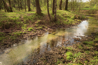 BUITEN BEELD Foto: 234813