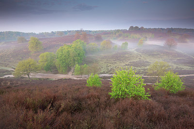 BUITEN BEELD Foto: 234816