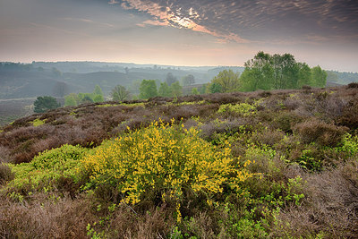 BUITEN BEELD Foto: 234818