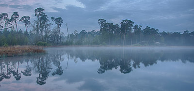 BUITEN BEELD Foto: 234819