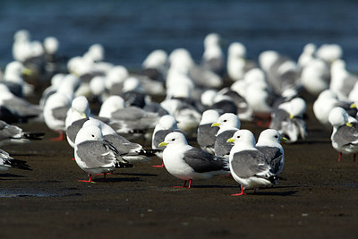 BUITEN BEELD Foto: 234843