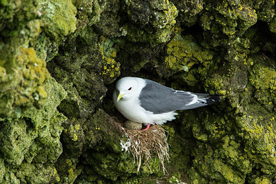 BUITEN BEELD Foto: 234844