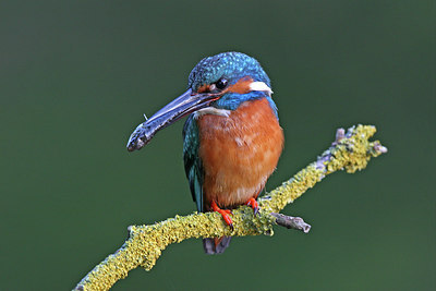 BUITEN BEELD Foto: 234901