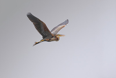 BUITEN BEELD Foto: 235010