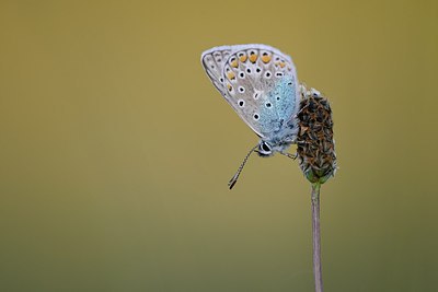 BUITEN BEELD Foto: 235130