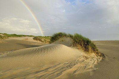 BUITEN BEELD Foto: 235136