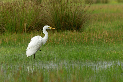BUITEN BEELD Foto: 235144
