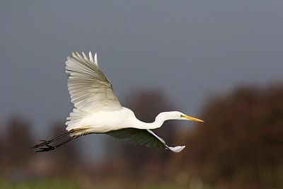 BUITEN BEELD Foto: 235304