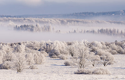 BUITEN BEELD Foto: 235359