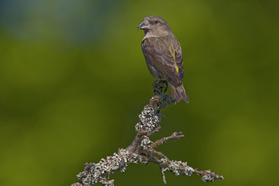 BUITEN BEELD Foto: 235435