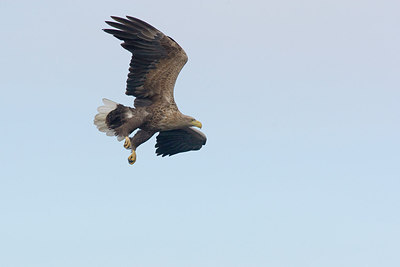 BUITEN BEELD Foto: 235472