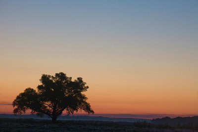 BUITEN BEELD Foto: 235475