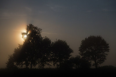 BUITEN BEELD Foto: 235476