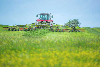 BUITEN BEELD Foto: 235516