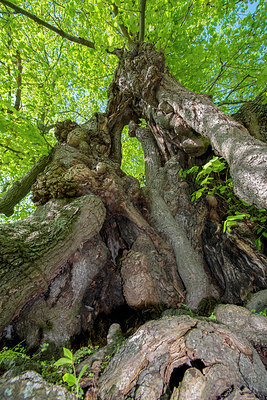 BUITEN BEELD Foto: 235542