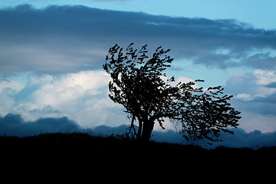 BUITEN BEELD Foto: 235545