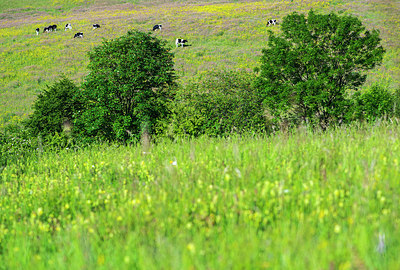 BUITEN BEELD Foto: 235606